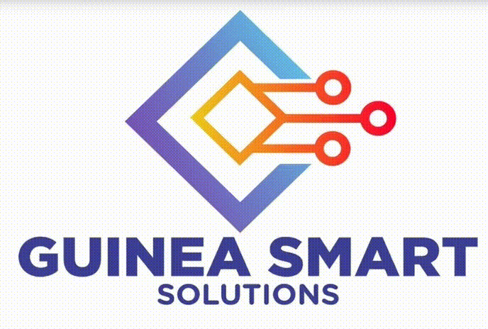Guinea Smart Solutions Background